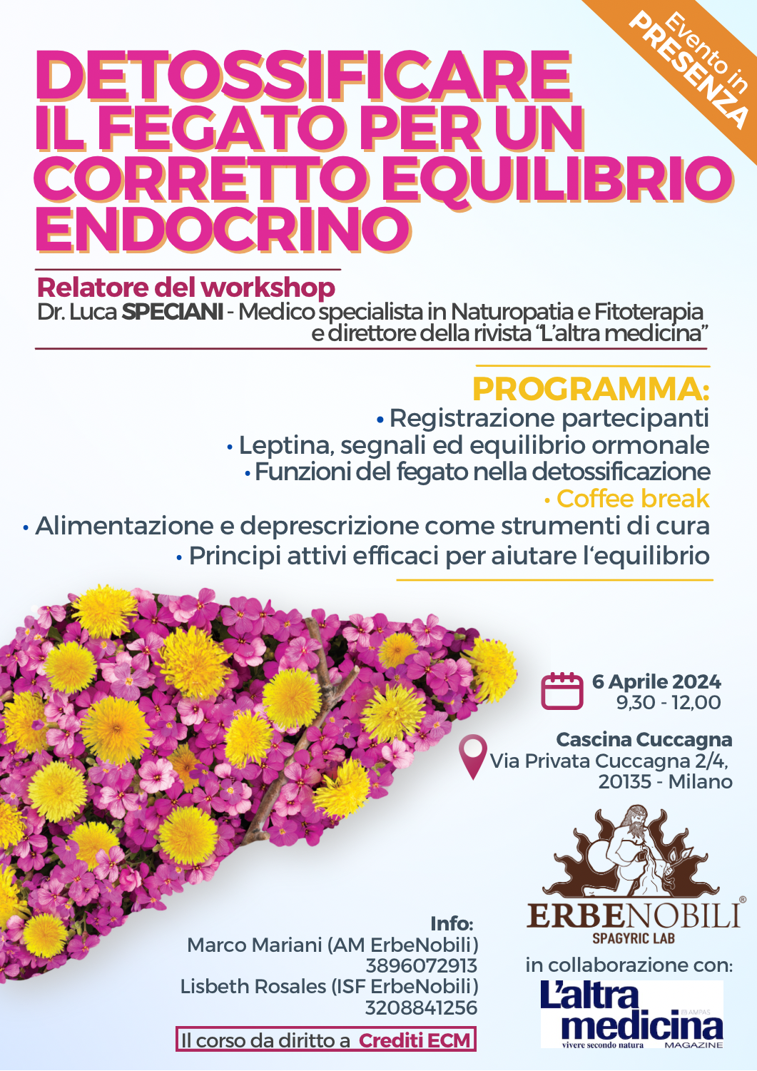 DETOSSIFICARE IL FEGATO PER UN CORRETTO EQUILIBRIO ENDOCRINO