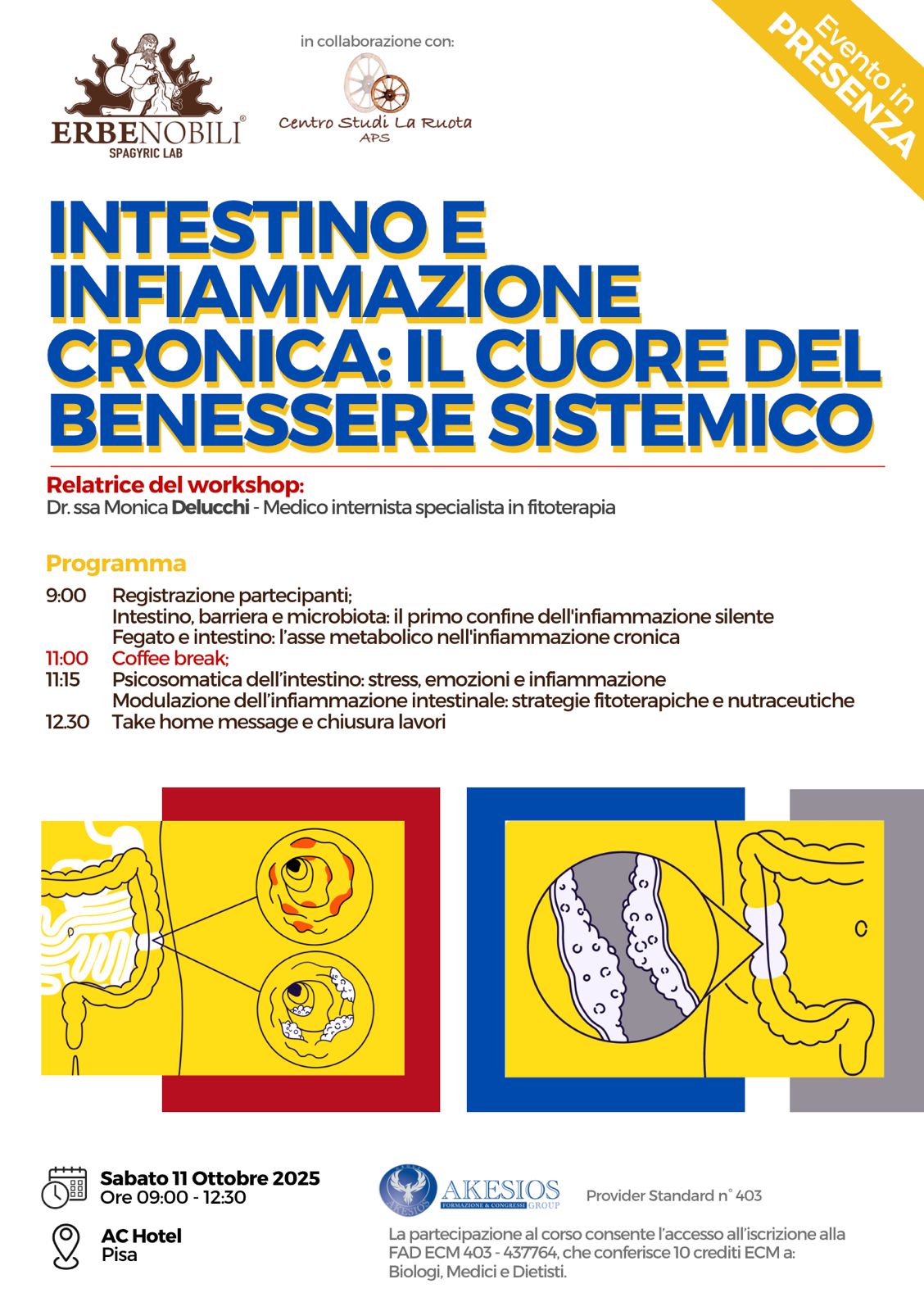 PISA - INTESTINO E INFIAMMAZIONE CRONICA: IL CUORE DEL BENESSERE SISTEMICO