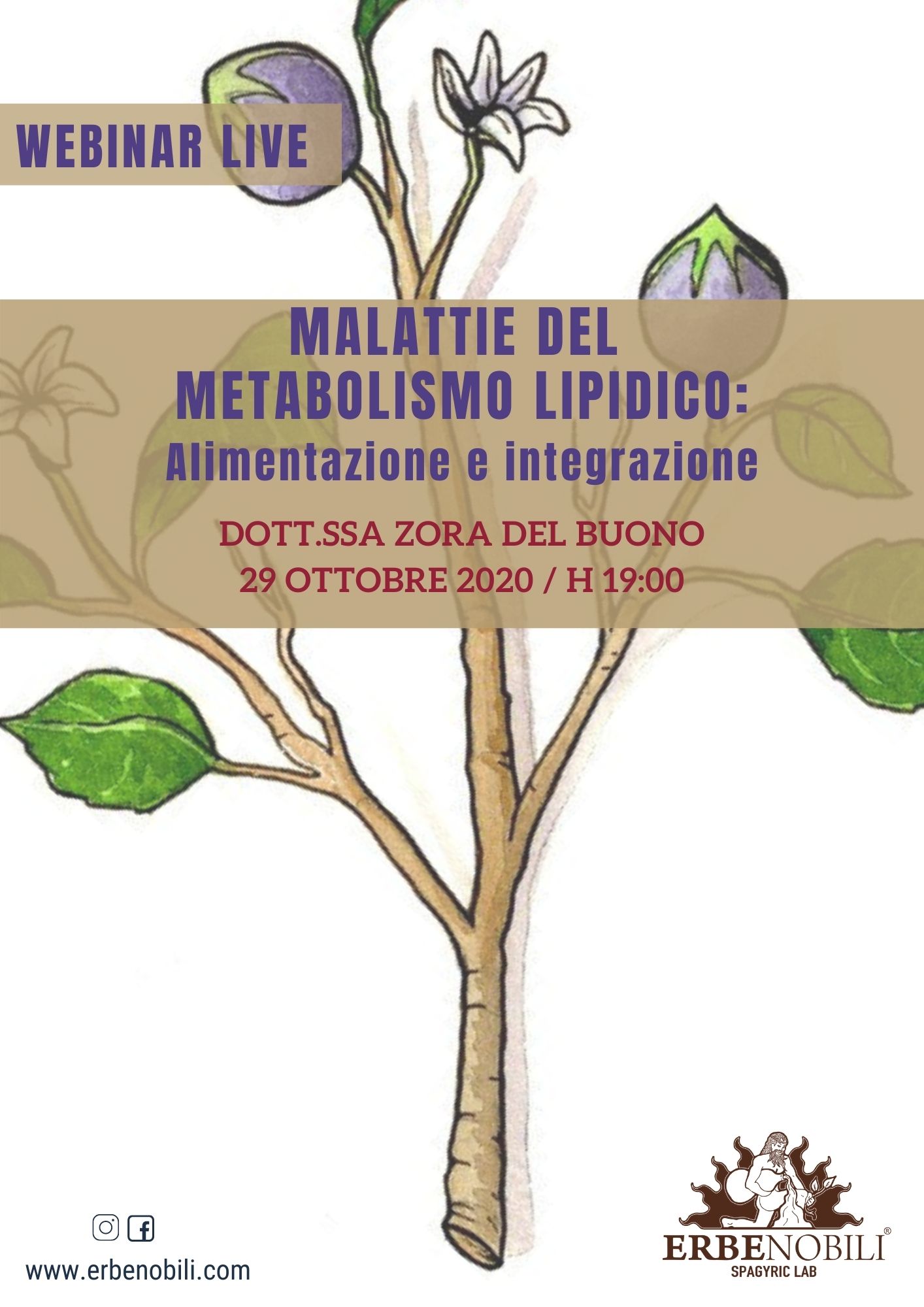 MALATTIE DEL METABOLISMO LIPIDICO: ALIMENTAZIONE E INTEGRAZIONE