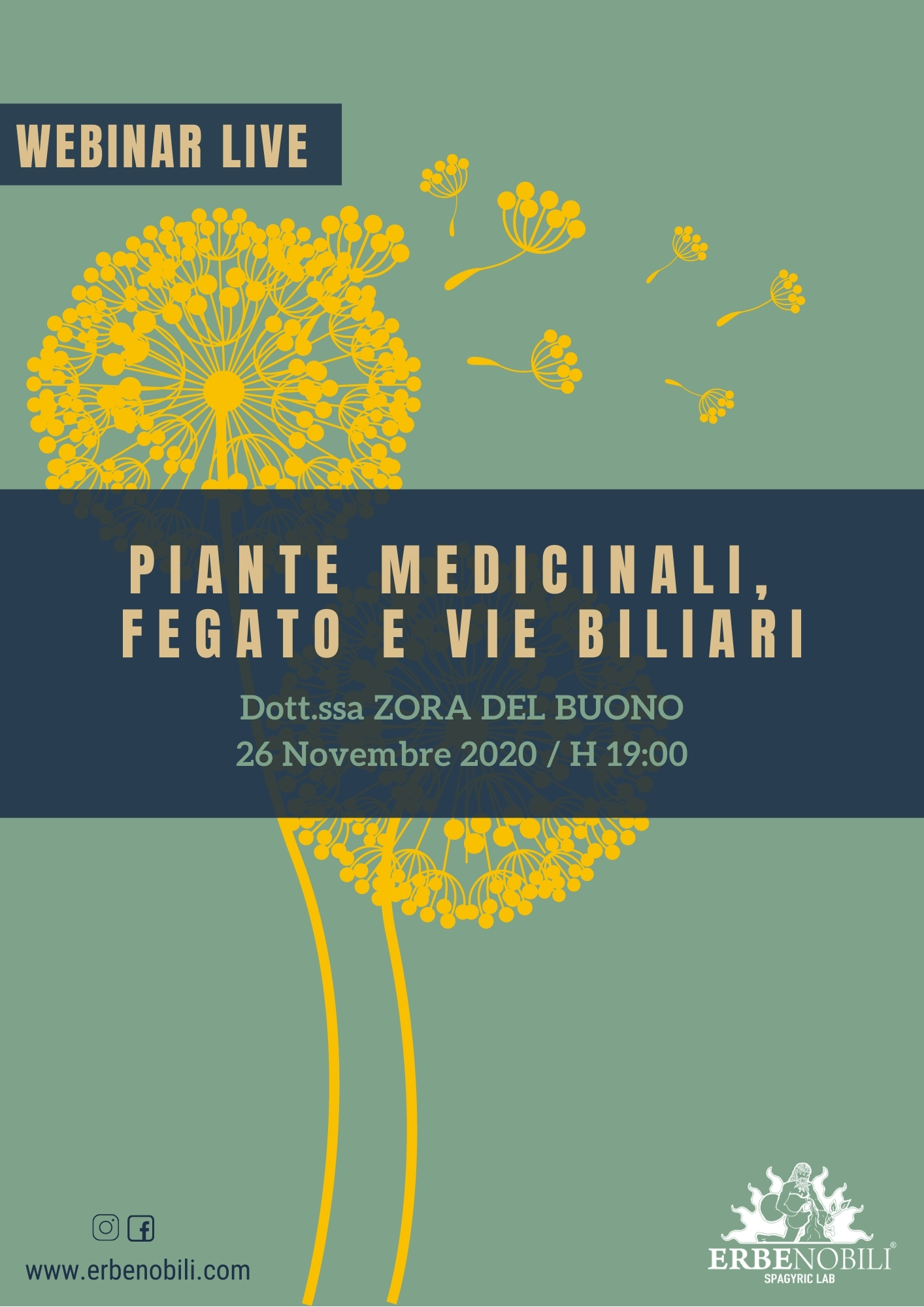 PIANTE MEDICINALI, FEGATO E VIE BILIARI