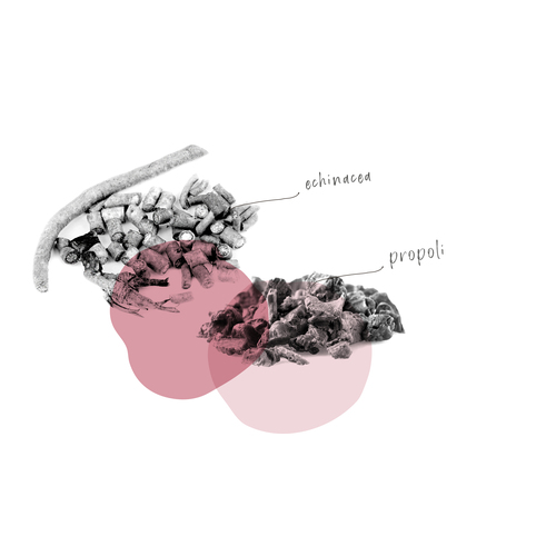 FLUPROP