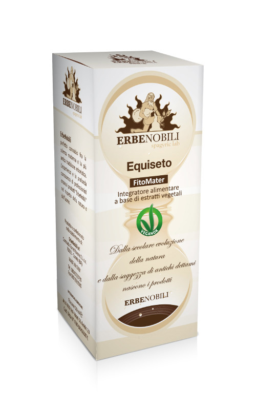 EQUISETO