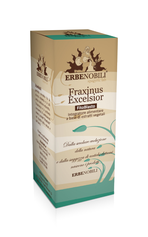 FRAXINUS EXCELSIOR
