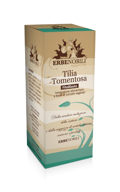 TILIA TOMENTOSA